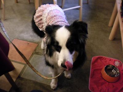 050_convert_20130318173524.jpg