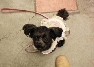 050_convert_20130422193923.jpg