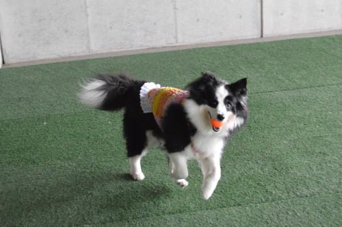 051_convert_20130722200239.jpg