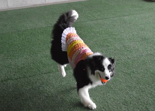 052_convert_20130722200301.jpg