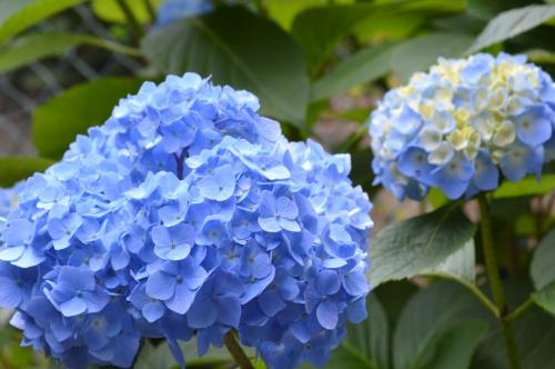 057_convert_20130610164836.jpg