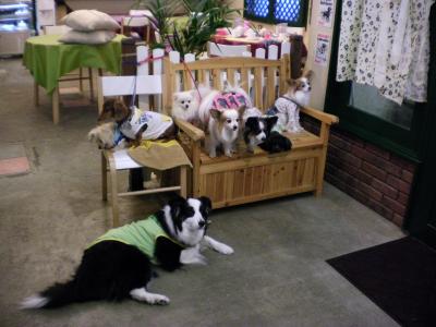 060_convert_20130415212144.jpg