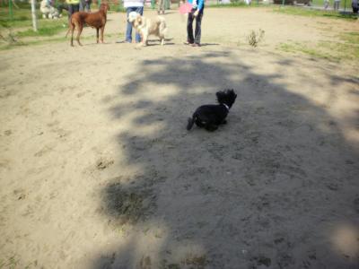 063_convert_20130505183604.jpg