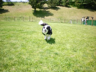 075_convert_20130429153551.jpg