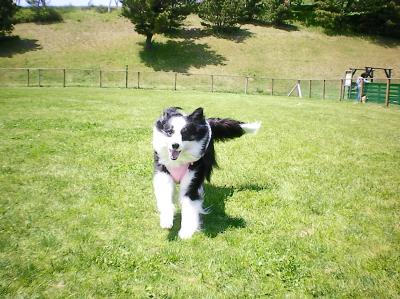 076_convert_20130429153713.jpg