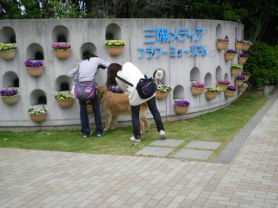 081_convert_20130510180340.jpg