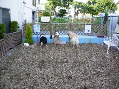 083_convert_20130408194252.jpg