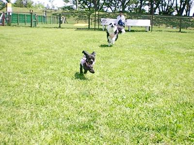 086_convert_20130429154013.jpg
