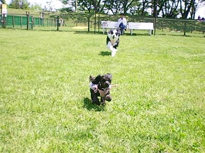 087_convert_20130429154102.jpg