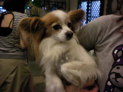 089_convert_20130516174210.jpg