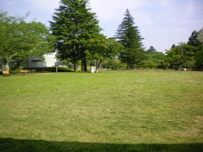 098_convert_20130506172654.jpg