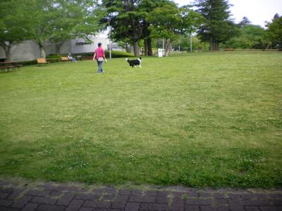 104_convert_20130506172756.jpg