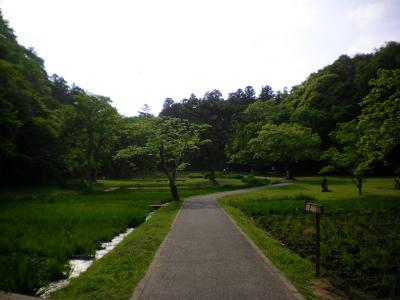 113_convert_20130506173029.jpg