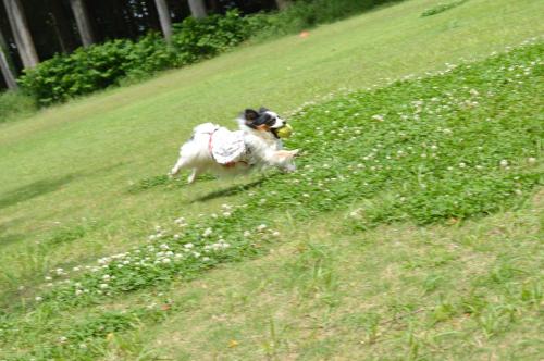 114_convert_20130527230919.jpg