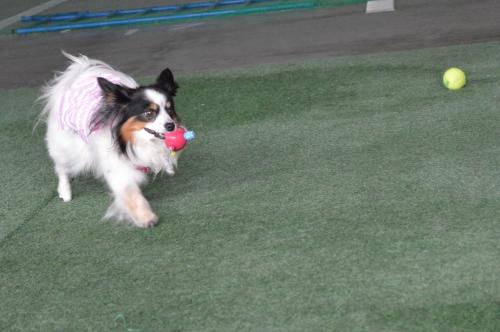 122_convert_20130722200602.jpg