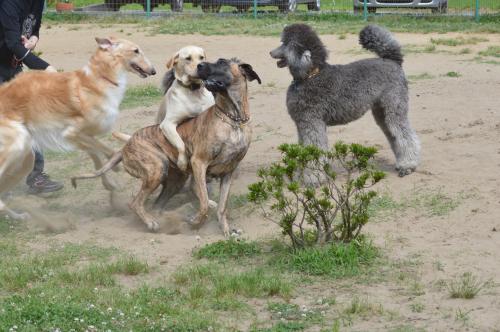 137_convert_20130602203056.jpg
