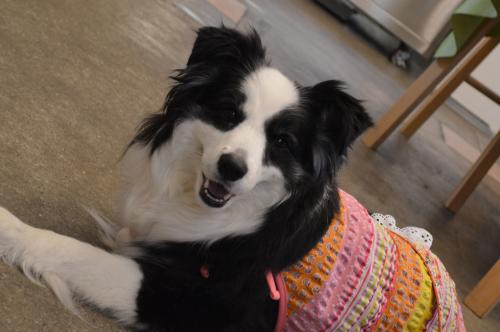 157_convert_20130522215416.jpg