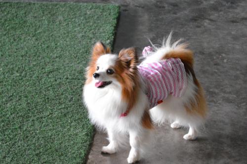 217_convert_20130722201053.jpg