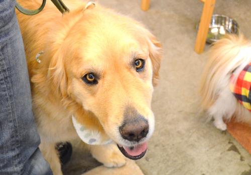 273_convert_20130613205738.jpg