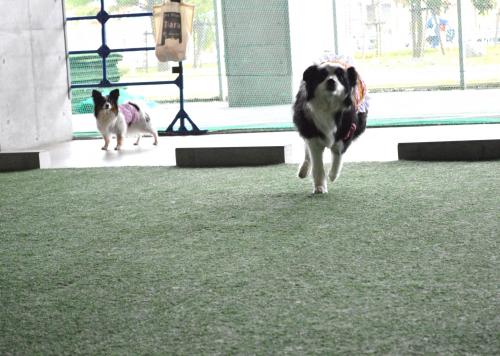 360_convert_20130722201903.jpg