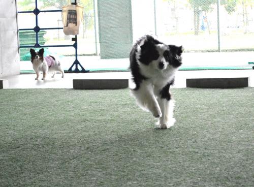 361_convert_20130722201926.jpg