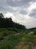 moblog_3e534e60.jpg