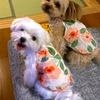 100x100_default_20130624115503.jpg