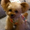 100x100_default_20130624115505.jpg