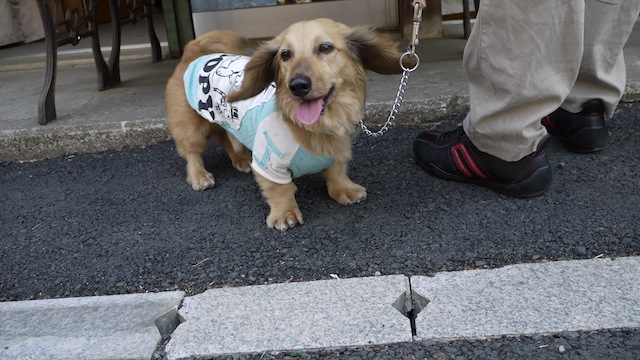 P1000566 のコピー