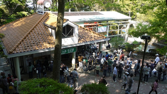 P1000585 のコピー