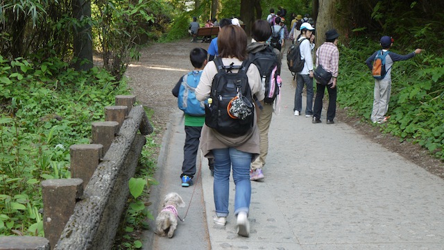 P1000596 のコピー