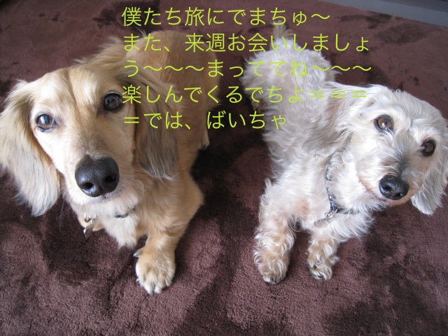IMG_3967 のコピー