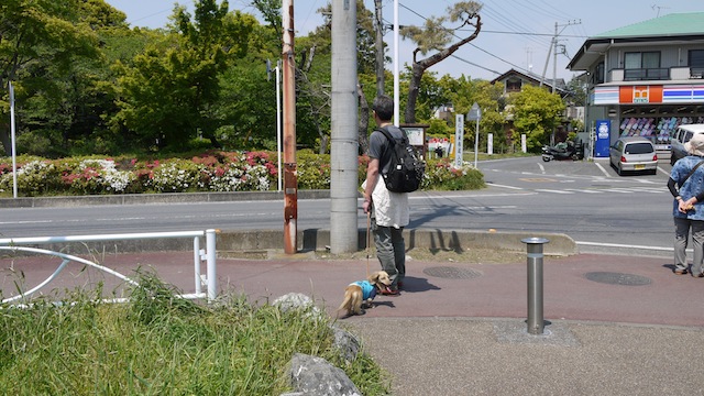 P1000712 のコピー