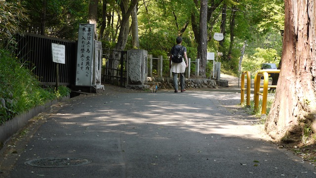 P1000721 のコピー