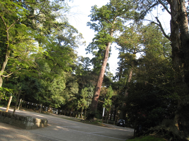 IMG_0935.jpg
