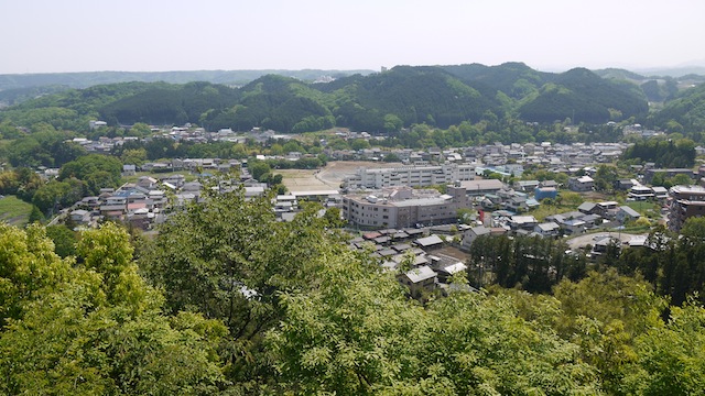 P1000732.jpg