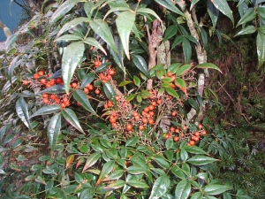 2013-12-01-014.jpg