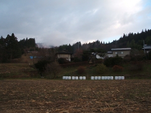 2013-12-01-017.jpg