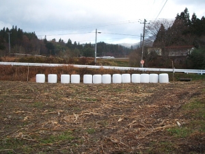 2013-12-01-021.jpg