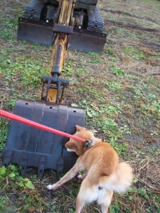 2013-12-01-026.jpg