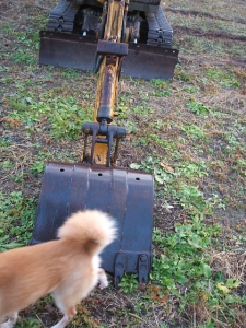 2013-12-01-027.jpg
