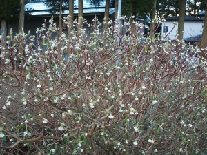 2013-12-01-028.jpg
