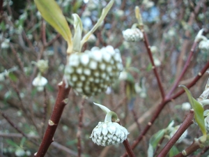 2013-12-01-029.jpg