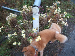 2013-12-01-030.jpg
