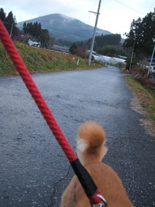 2013-12-01-031.jpg
