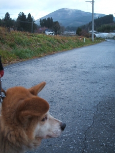 2013-12-01-032.jpg