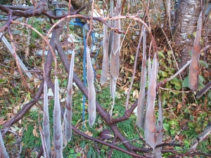 2013-12-01-034.jpg