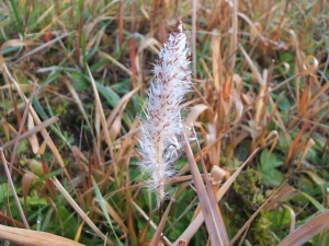 2013-12-01-037.jpg