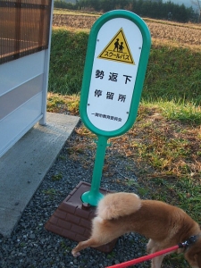 2013-12-01-042.jpg