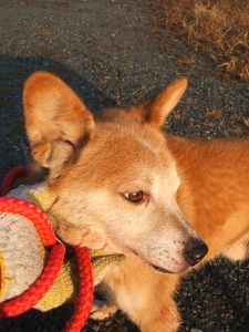 2013-12-01-045.jpg